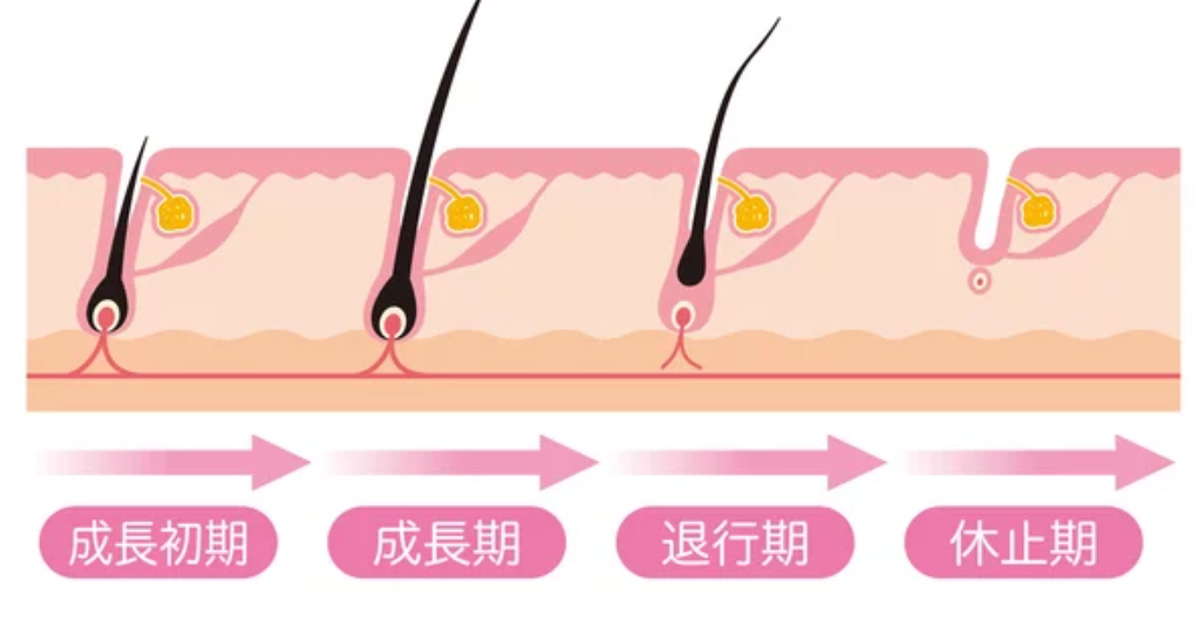 ヘアサイクル