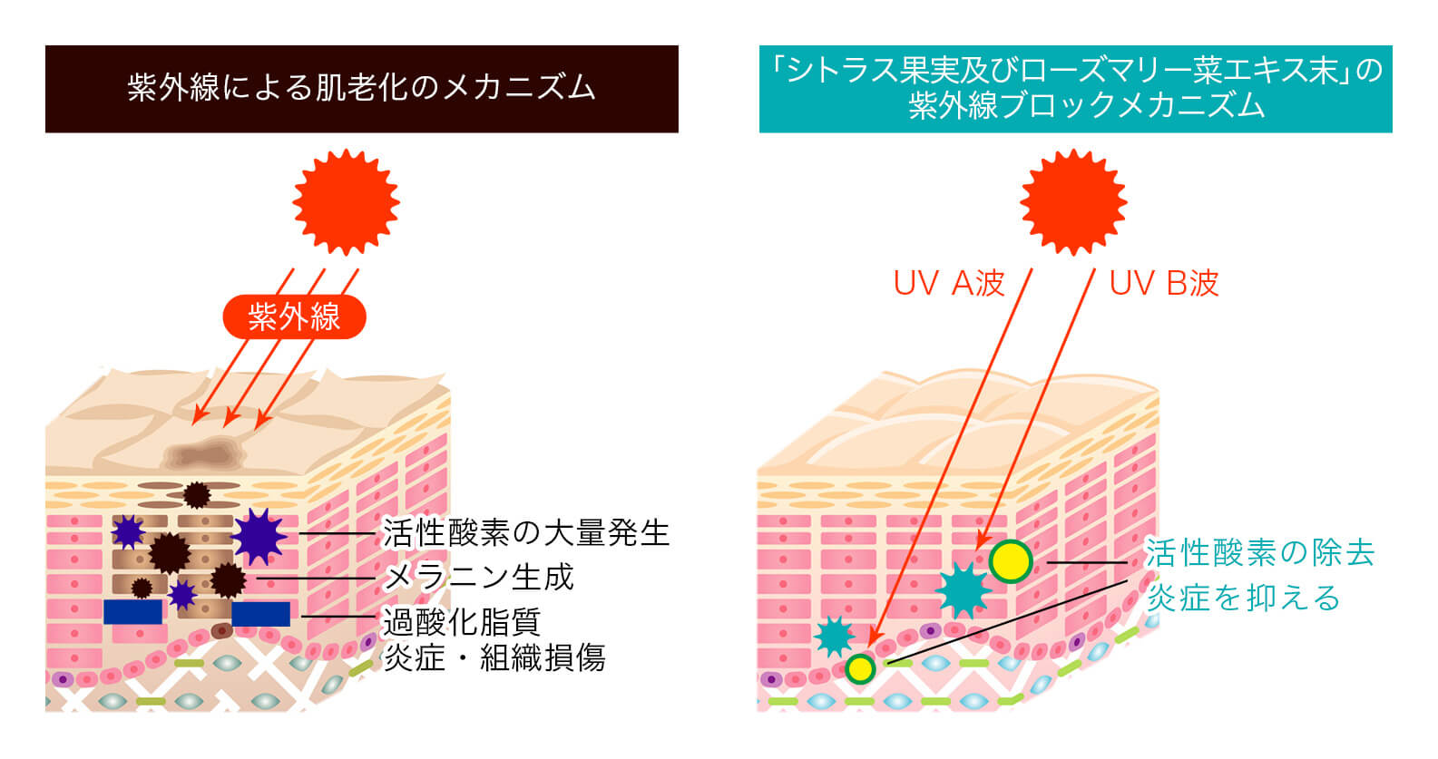 U・Vlockの効果