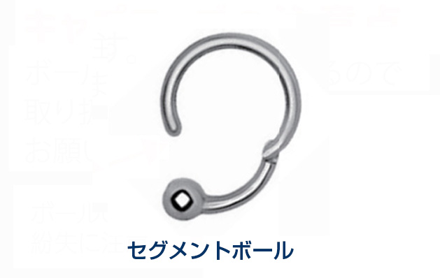 セグメントボール